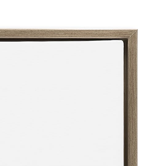 Stupell Industries Happy Spring Bunny & Carrots Floater Framed Art